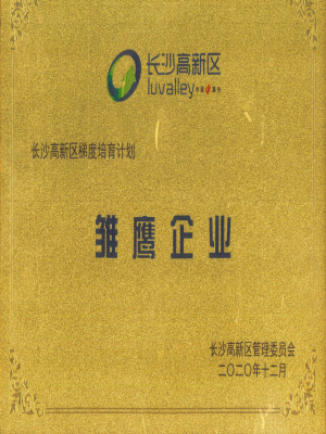 雛鷹企業(yè)